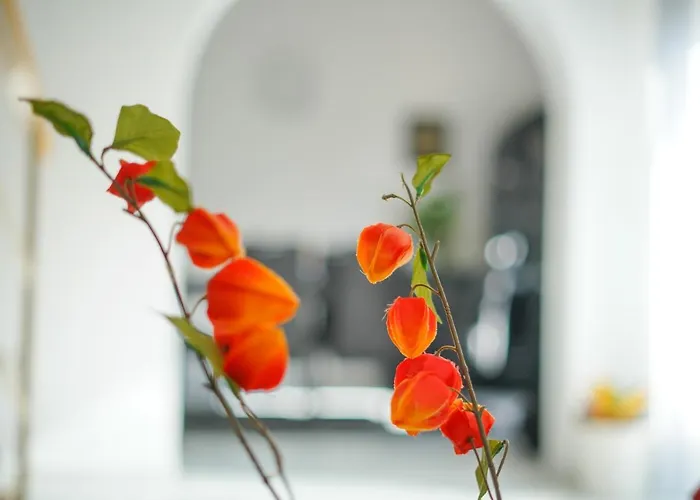 Sanda With Private Pool * Zara