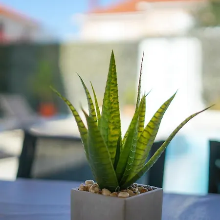 Sanda With Private Pool Vila