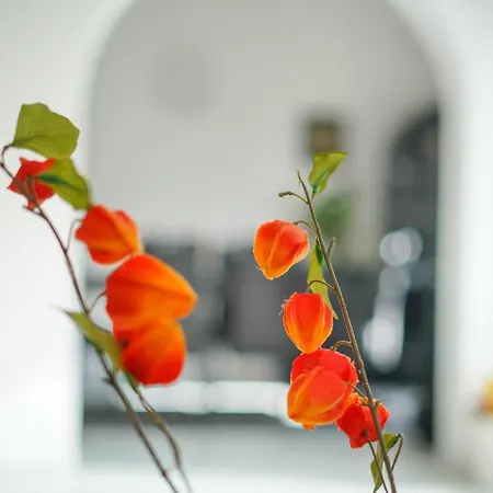 Sanda With Private Pool * Zadar